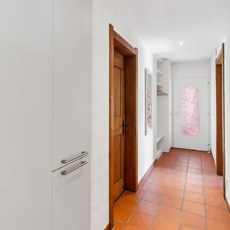 Vite 1 By Interhome Brissago