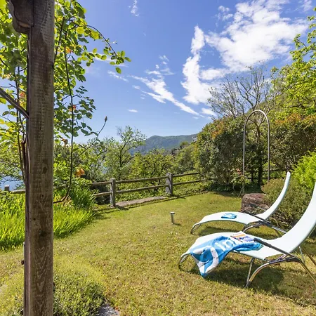 Vite 1 By Interhome * Brissago